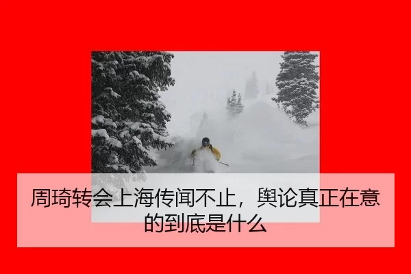 周琦转会上海传闻不止，舆论真正在意的到底是什么